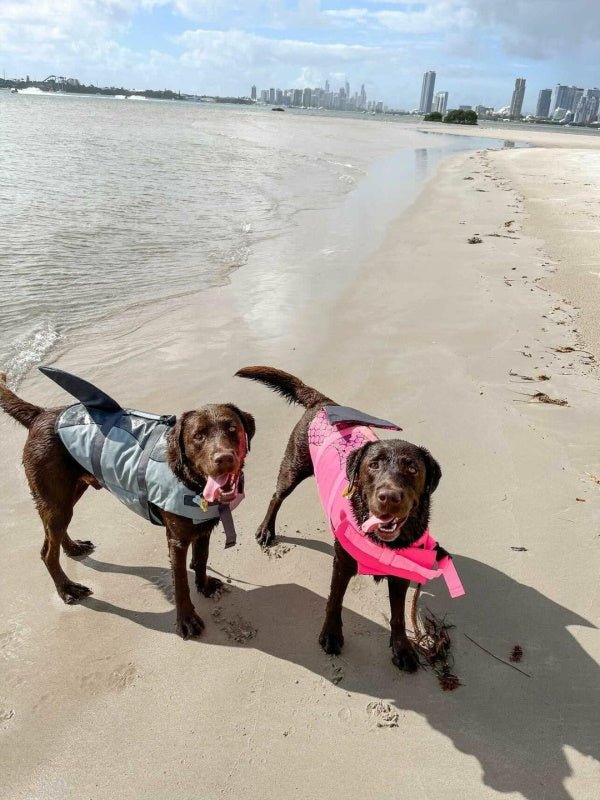 Mermaid Dog Life Jacket