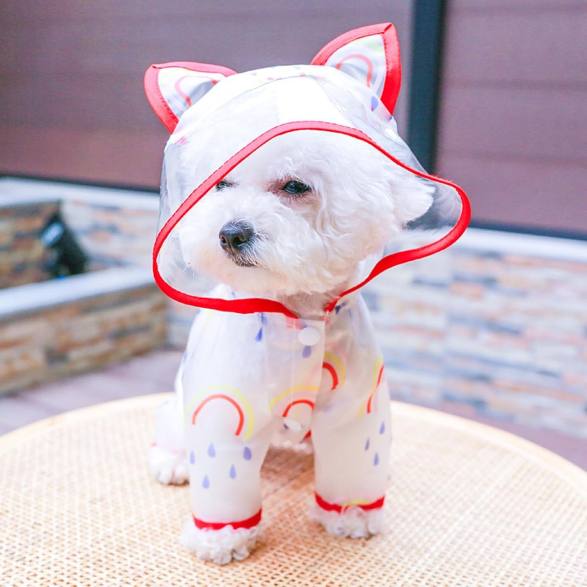 Waterproof Dog Raincoat,Full Coverage 4 Legs Dog Rain Jacket for Small Dogs,Pet Rain Coat with Hood,Reflective Strips&Leash Hole Outdoor Raincoat (Medium(for Weight 5.1-8.1 lb), Blue)