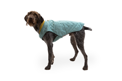 Stumptown™ Insulated Vest