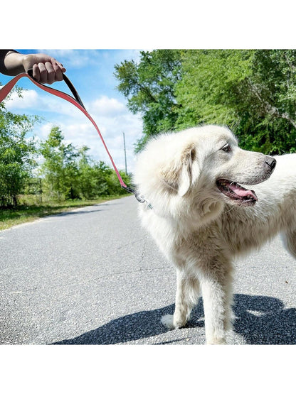 Heavy Duty Double Handle Dog Leash With Reflective Strips For Night Safety - Ideal For Large And Extra Large Breeds - Perfect For Outdoor Walking And Training