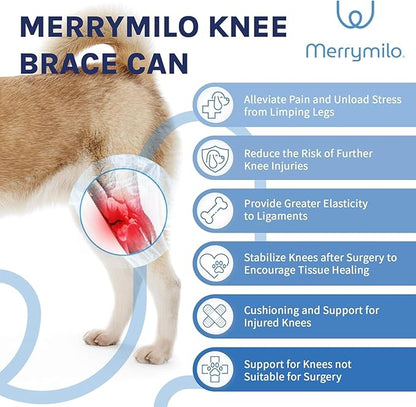 Dog Knee Brace for Torn ACL, Rear Leg Support for Joint Pain Relief and Ligament Injuries, Silver, XL