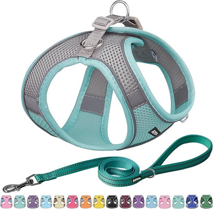 AIITLE Escape Proof Dog Harness